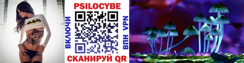 Галлюциногенные грибы Psilocybe  Ессентукская 